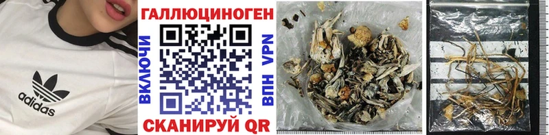 Галлюциногенные грибы Psilocybine cubensis  Пенза 